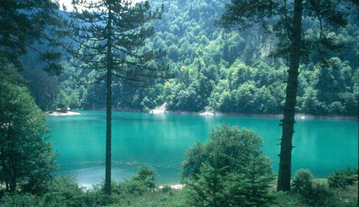 Bolu Otelleri - Otel Fiyatları